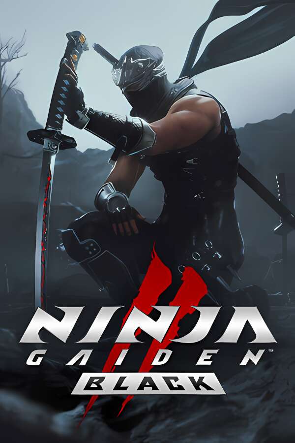 忍者龙剑传2：黑之章/NINJA GAIDEN 2 Black